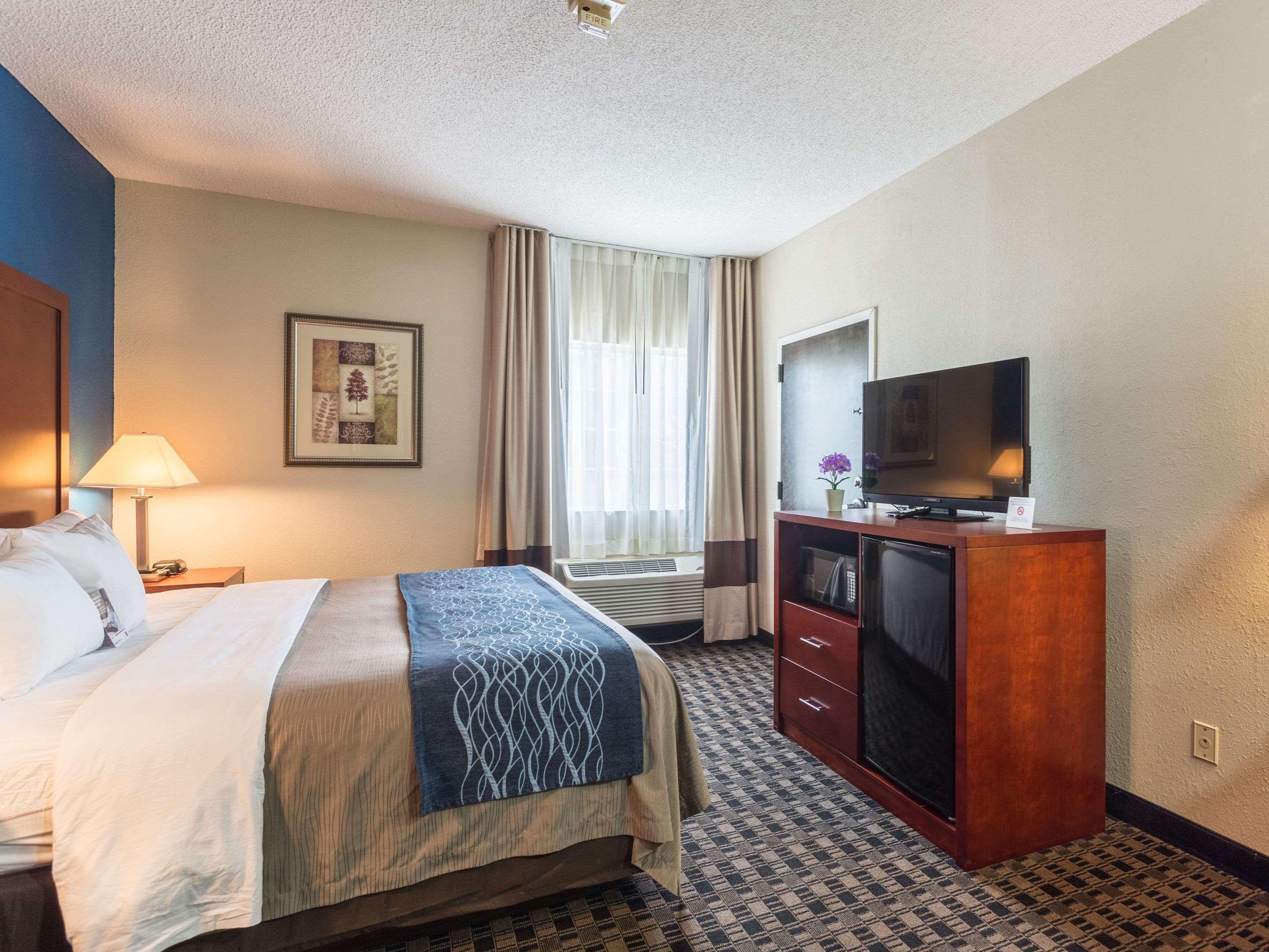 Comfort Inn Decatur Priceville Екстер'єр фото