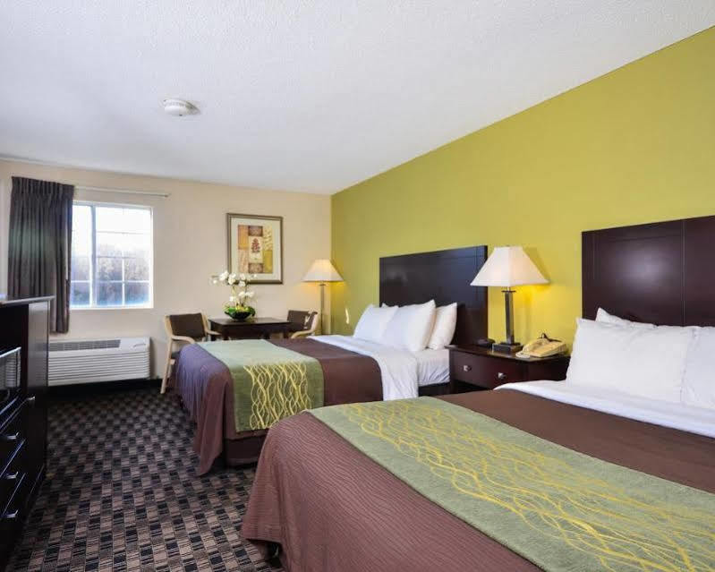 Comfort Inn Decatur Priceville Екстер'єр фото